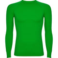 ROLYSYNC_CA0365_VARIANT_VERDE_HELECHO_8154F4D9DCA3