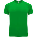 ROLYSYNC_CA0407_VARIANT_VERDE_HELECHO_A36EE53670BB