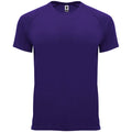 ROLYSYNC_CA0407_VARIANT_MORADO_338F48DCABB0