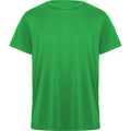 ROLYSYNC_CA0420_VARIANT_VERDE_HELECHO_1A0595C618D6