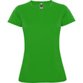 ROLYSYNC_CA0423_VARIANT_VERDE_HELECHO_53D1A2E82685