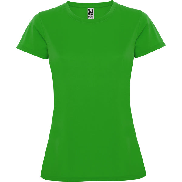 ROLYSYNC_CA0423_VARIANT_VERDE_HELECHO_53D1A2E82685