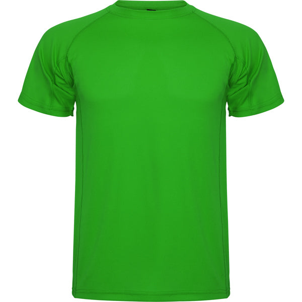 ROLYSYNC_CA0425_VARIANT_VERDE_HELECHO_D9DE83FF3B7F