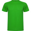 ROLYSYNC_CA0425_VARIANT_VERDE_HELECHO_D9DE83FF3B7F