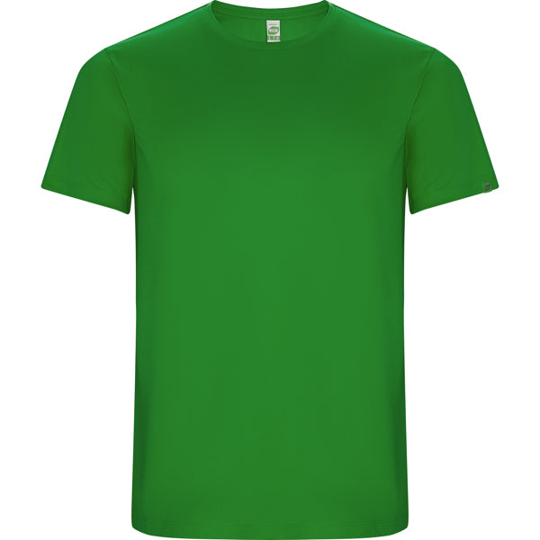 ROLYSYNC_CA0427_VARIANT_VERDE_HELECHO_ACDD6D9C0671
