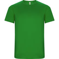 ROLYSYNC_CA0427_VARIANT_VERDE_HELECHO_ACDD6D9C0671