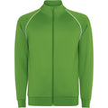 ROLYSYNC_CQ0437_VARIANT_VERDE_HELECHO_0AA79B50FCA4