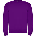 ROLYSYNC_SU1070_VARIANT_PURPURA_8E4F4C136378