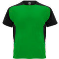 ROLYSYNC_CA6399_VARIANT_VERDE_HELECHO_NEGRO_A38629726337