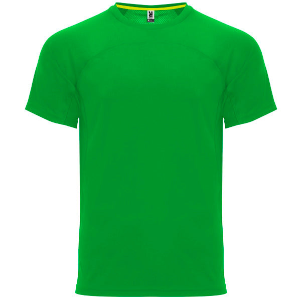 ROLYSYNC_CA6401_VARIANT_VERDE_HELECHO_39BA63198237