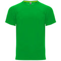 ROLYSYNC_CA6401_VARIANT_VERDE_HELECHO_39BA63198237
