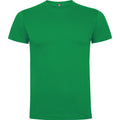 ROLYSYNC_CA6502_VARIANT_VERDE_TROPICAL_1B61841BBF86