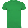 ROLYSYNC_CA6502_VARIANT_VERDE_IRISH_F9694F6C6F6C