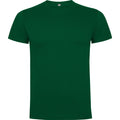 ROLYSYNC_CA6502_VARIANT_VERDE_BOTELLA_BA94DA544ED9