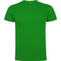 ROLYSYNC_CA6502_VARIANT_VERDE_GRASS_458FCF8D99F3