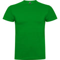 ROLYSYNC_CA6550_VARIANT_VERDE_GRASS_F4C38CB835B5