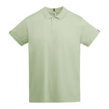 ROLYSYNC_PO6612_VARIANT_VERDE_MIST_63DDD83FC8B8