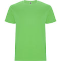 ROLYSYNC_CA6681_VARIANT_VERDE_OASIS_1DE250819E34