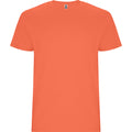 ROLYSYNC_CA6681_VARIANT_CORAL_B77A415CD1C4