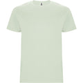 ROLYSYNC_CA6681_VARIANT_VERDE_MIST_5EAF5B1C23E7