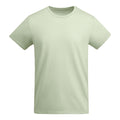ROLYSYNC_CA6698_VARIANT_VERDE_MIST_5B9FF6F9B2A3