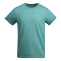ROLYSYNC_CA6698_VARIANT_AZUL_DUSTY_91109BC0CD35