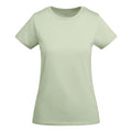 ROLYSYNC_CA6699_VARIANT_VERDE_MIST_C91594EF77F8