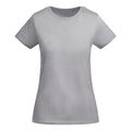 ROLYSYNC_CA6699_VARIANT_GRIS_VIGORE_1AC5457D6FCD