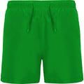 ROLYSYNC_BN6716_VARIANT_VERDE_HELECHO_F636F24872C6