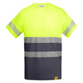 ROLYSYNC_HV9317_VARIANT_PLOMO_AMARILLO_FLUOR_418A3123A40D