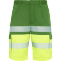 ROLYSYNC_HV9328_VARIANT_VERDE_JARDIN_AMARILLO_FLUOR_8BEAA2393122
